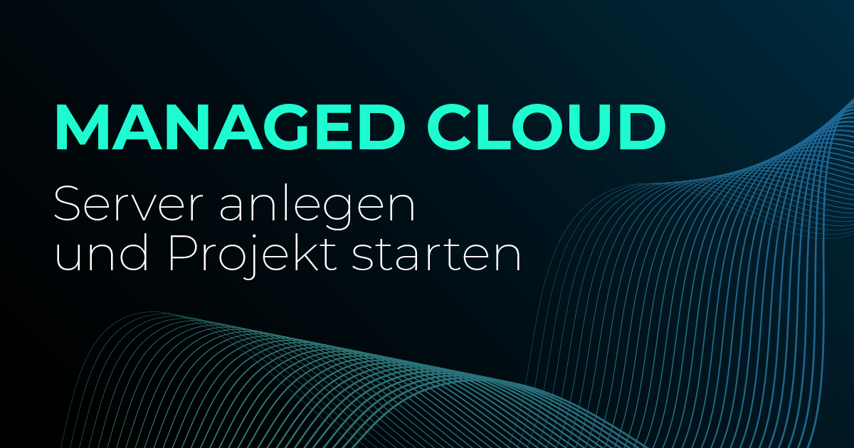 Projekt starten und den ersten Server anlegen